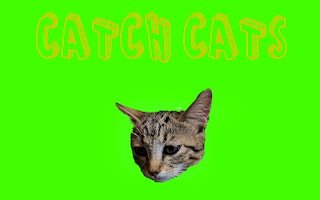 Image Catch Cats